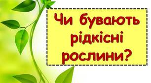 Чи бувають рідкісні рослини? ЯДС 1 клас