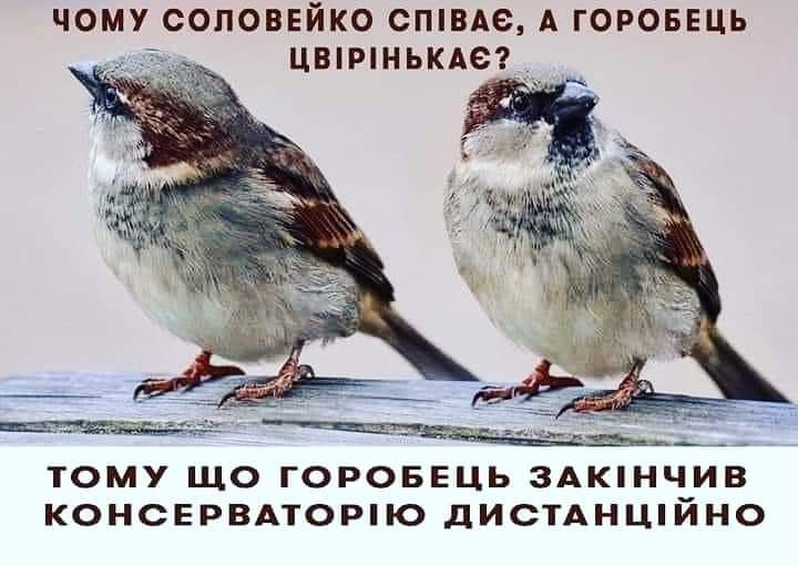 0200418b-f0c1.jpg