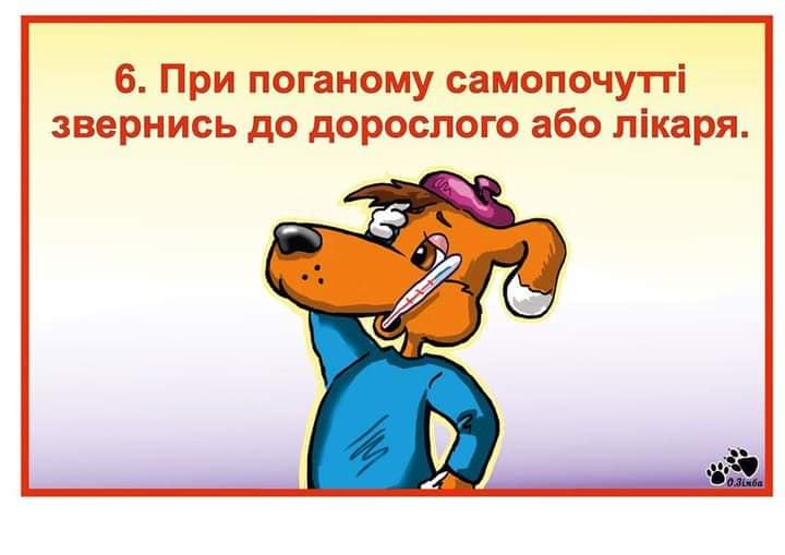 020041w0-7db0.jpg