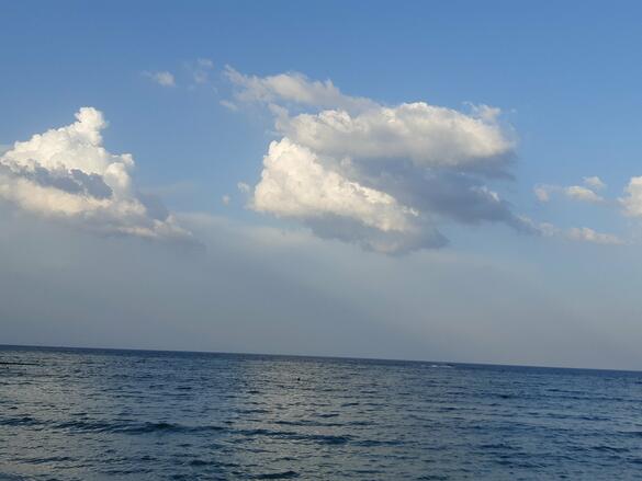 020042bi-d108-585x439.jpg