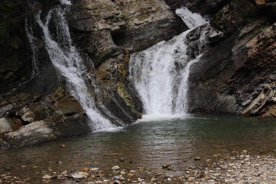 020042ms-6c66-940x627.jpg