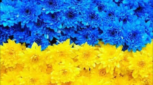 З Україною в серці!
