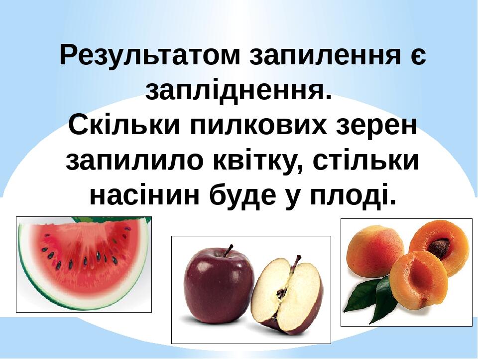 Результатом запилення є запліднення. Скільки пилкових зерен запилило квітку, стільки насінин буде у плоді.