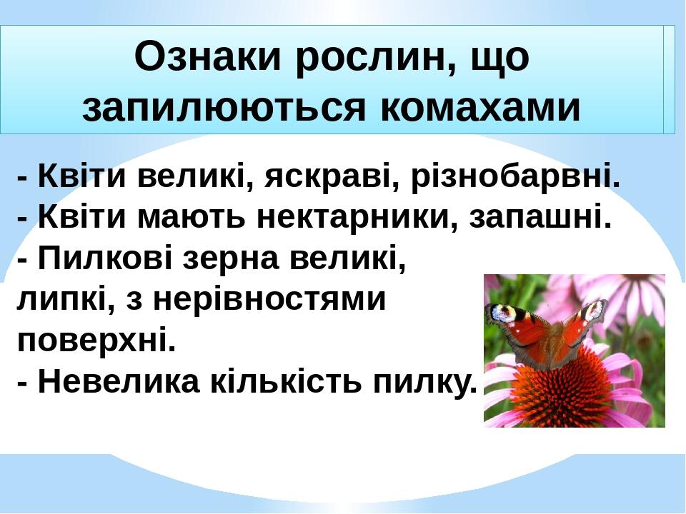 Ознаки рослин, що запилюються комахами - Квіти великі, яскраві, різнобарвні. - Квіти мають нектарники, запашні. - Пилкові зерна великі, липкі, з не...