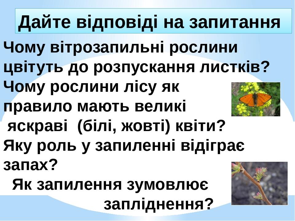 Чому вітрозапильні рослини цвітуть до розпускання листків? Чому рослини лісу як правило мають великі яскраві (білі, жовті) квіти? Яку роль у запиле...