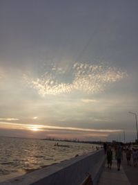 0200443r-6896-200x267.png
