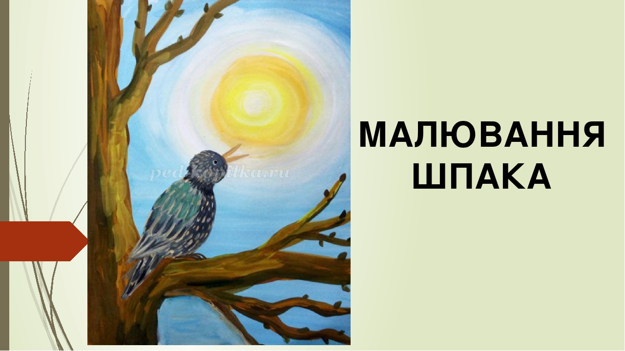 Шпак - співак весни