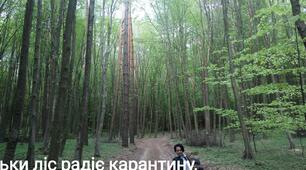 Вислови відомих людей про природу.