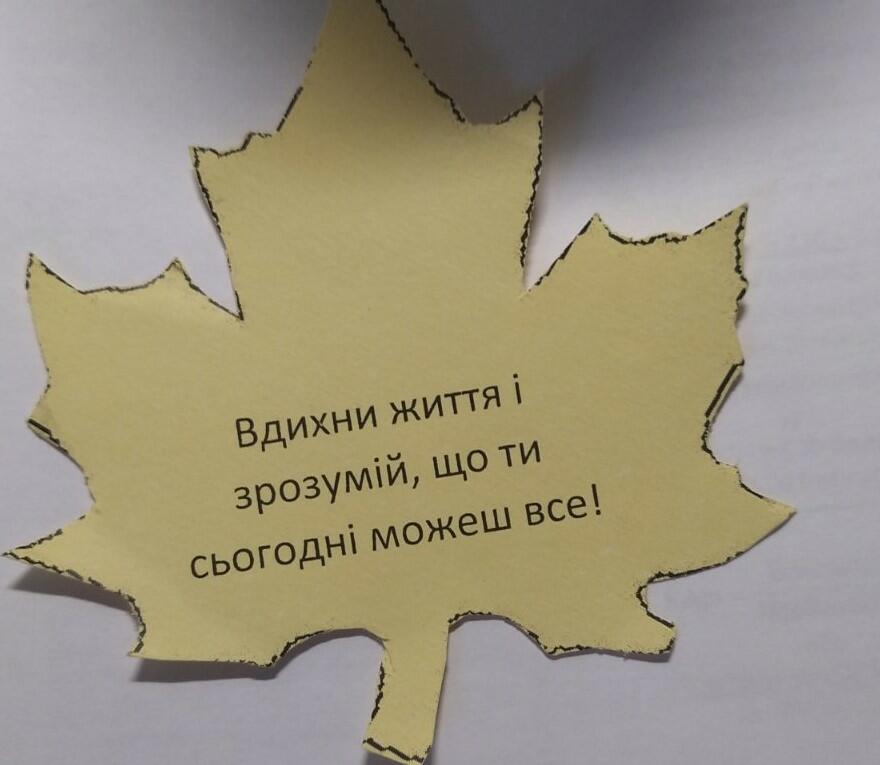 020047k8-d931-880x765.jpg