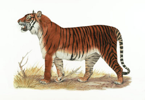 0200481h-5671-550x382.png