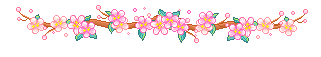 020048v3-c1fb.png