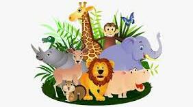 Animals