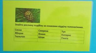 Біологія,презентація 7 клас Тема: "Ознаки відділу голонасінних"