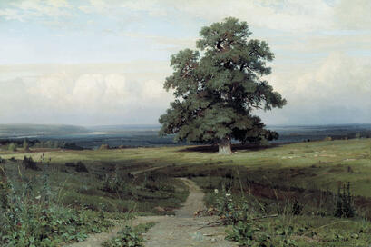 02004aj0-9bc0-409x272.jpg