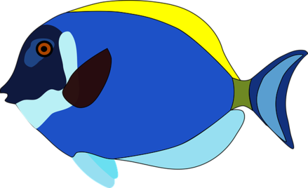 02004ajm-9d7d.png