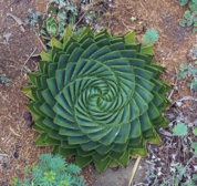 02004bj7-28f5-178x168.png