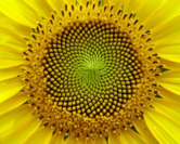 02004bjz-1309-166x133.png