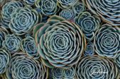 02004bk5-6b2d-169x112.png