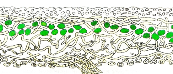 02004bpm-2c23-551x237.png