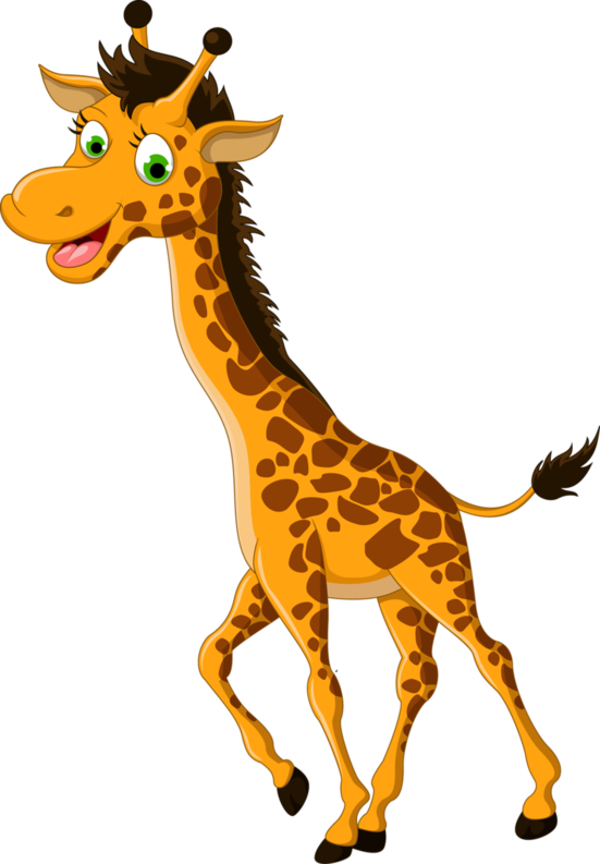 02004c6r-02ab.png