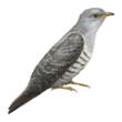 02004cbb-f717.png