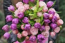 02004cg5-4a53.jpg