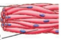 02004cjm-f777-272x177.png