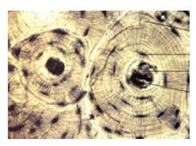 02004cp9-692c.jpg