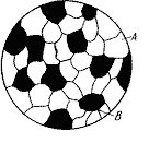 02004ct9-e230.png