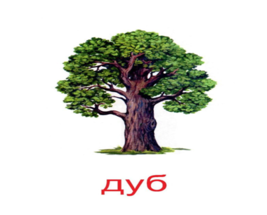 02004d3k-12ae-271x218.png