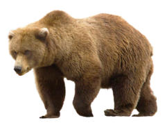 02004dfo-3061-241x180.png