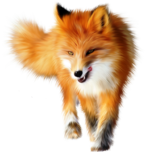 02004dgk-48bb-146x152.png
