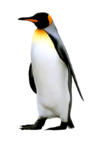 02004dih-b1c4-92x144.png