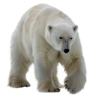 02004dj3-3bc1-134x140.png