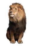 02004djl-a000-106x152.png
