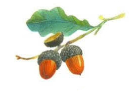 02004e3b-a877.png