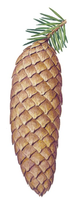 02004e42-a3b1-77x208.png