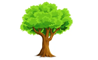 02004ezy-265a-294x180.png