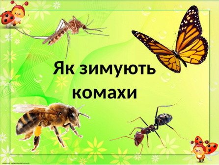 02004f47-3407-282x212.png