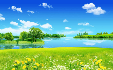 02004faj-1094-324x203.png