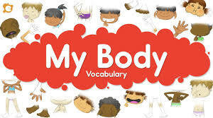 My body