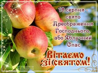 02004fhb-ea0c-317x238.jpg