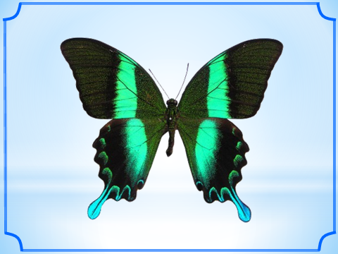 02004fsi-6aba.png