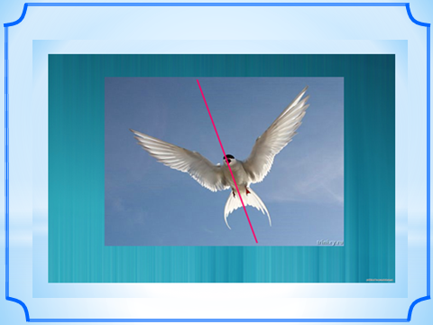 02004fsl-62bb.png