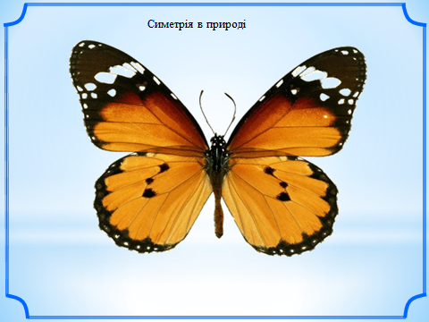 02004fsn-212b.png