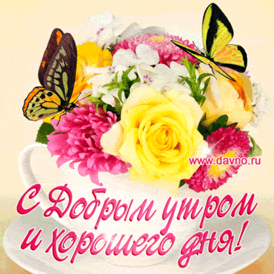 02004g8z-4d9c-390x390.gif