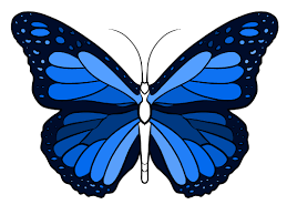 02004gpc-694b.png