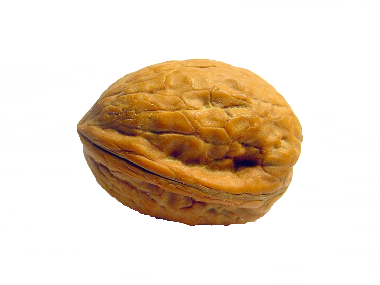 02004gst-e6d7.png