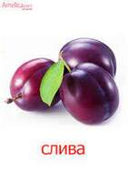 02004h7h-293d-141x199.jpg