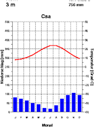 02004hje-3182.png